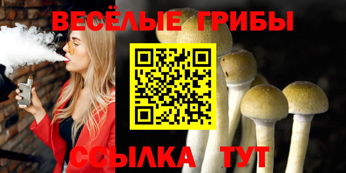 Галлюциногенные грибы Psilocybine cubensis  Вход с VPN  Ефремов 